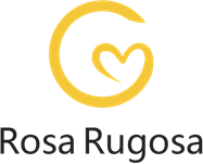 Huizhou  Khauta|Rose|Theknoloji|Co.,|Ltd.